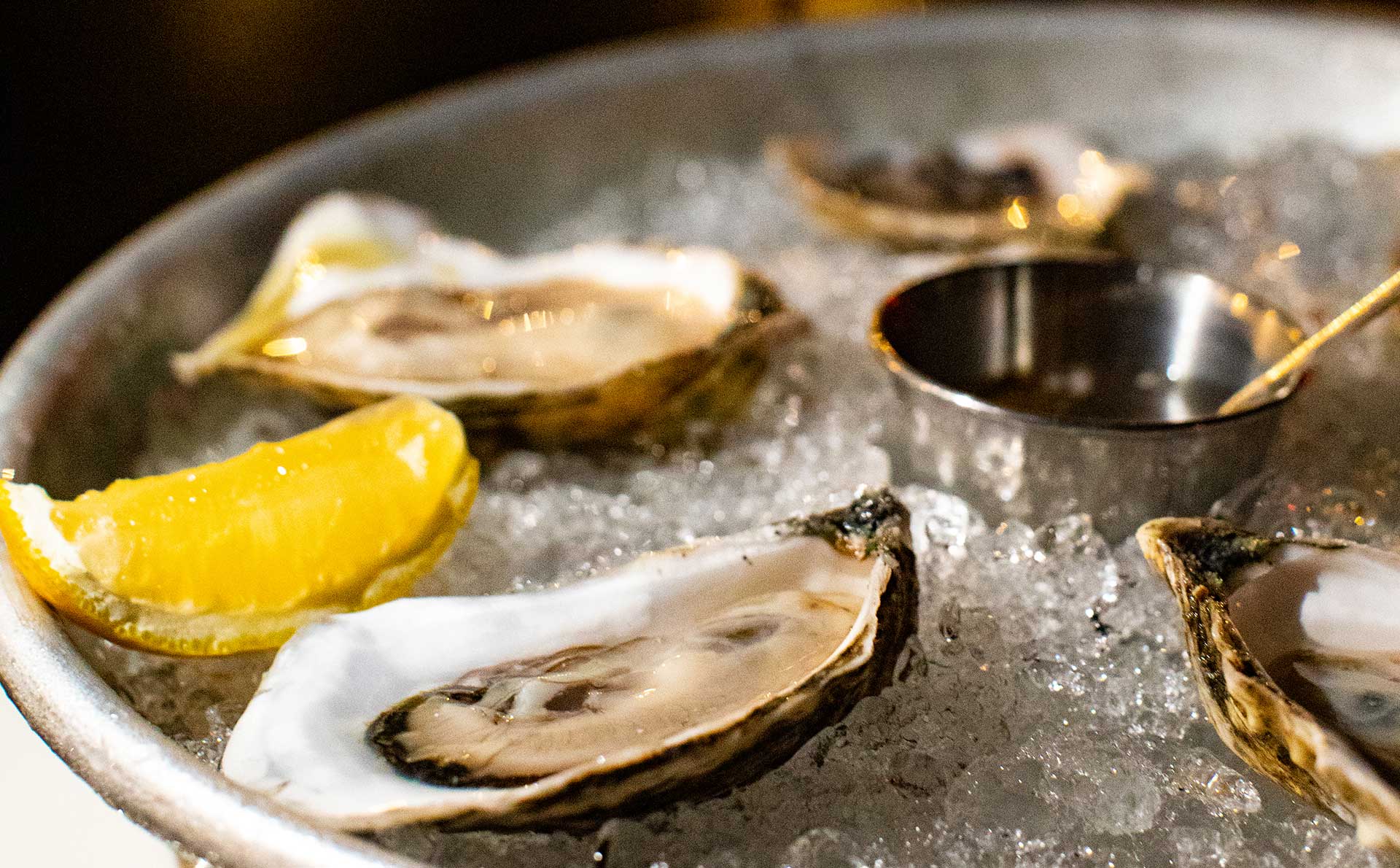 Image of oysters available at fine dining in Boston