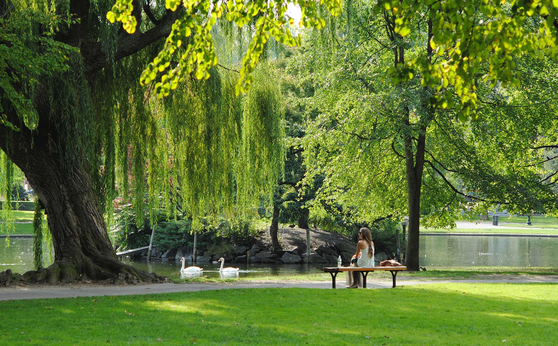 Exterior image of Boston park